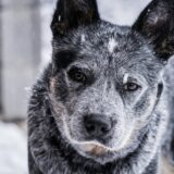 TSUE konsument nie może być obciążany kosztami